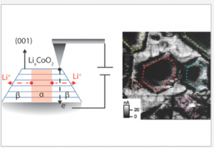 Imaging Phase Segregation in Nanoscale LixCoO2Single Particles