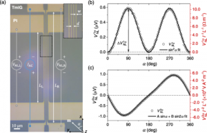 Magnon transport and thermoelectric effects in ultrathin  Tm 3 Fe 5 O 12 /Pt nonlocal devices