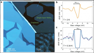 Observation of Superconducting Collective Modes from Competing Pairing Instabilities in Single-Layer NbSe2
