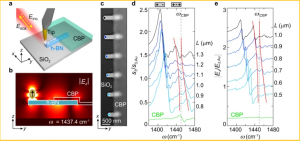Remote near-field spectroscopy of vibrational strong coupling between organic molecules and phononic nanoresonators